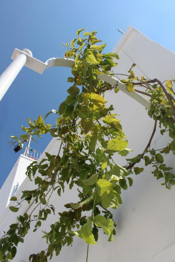 L'Angolo Di Ostuni - Home&Terracex4 Exterior foto